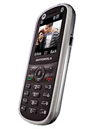 Best available price of Motorola WX288 in Cameroon