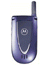 Best available price of Motorola V66i in Cameroon